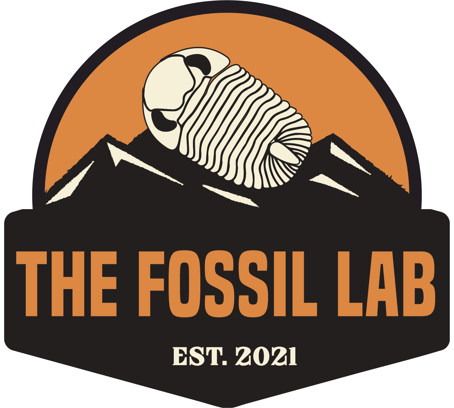 Home The Fossil Lab